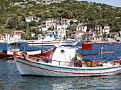 Fishing boats moored at harbour in Eastern Magnesia, Greece