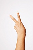 Close-up of hand indicating peace sign against white background