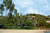 View of Hotel Complex around palm trees on beach in Thailand