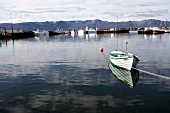 Hafen mit Fischerbooten in Island 