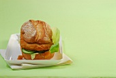 Cheese cutlet sandwich on green background