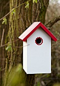 Bird house in white and red on bark of tree