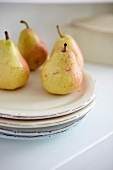 Close-up of pears on plate