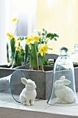 Porcelain bunnies in glass bell and daffodils in flower box