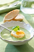 Herb soup with fried egg in bowl