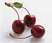 Regina sweet cherries on white background