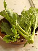 Close-up of borage in bowl