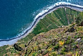 Madeira: Küste von Cabo Girao, Ter- rassenanbau, Vogelperspektive