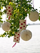 White lanterns on tree with red polka dots