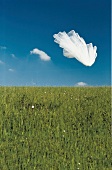 Bridal veil flying in mid air over green field against blue sky