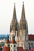 View of Regensburg Cathedral of St. Peter, Germany