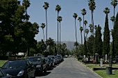Hollywood Los Angeles Kalifornien