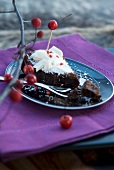Slice of chocolate cake with berries on plate and branch of berries