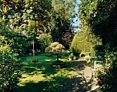 View of garden with trees, box balls and bench