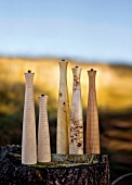 Five wooden pepper mills on wood