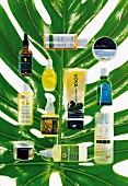 Naturkosmetik für die Haare diverse Produkte