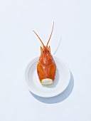 Crayfish's head on plate on white background