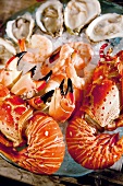 Close-up of fresh lobster, shrimp, crabs and sea snails