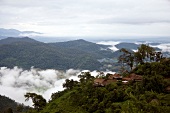 Thailand: Berglandschaft, Wald, Dorf Huei Kut Kap, Nebel, Aufmacher