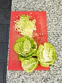 Sliced cabbage with cabbage leaf on red board
