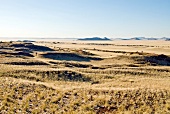 Namibia, Versteinerte Dünen, X 