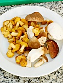 Sauteed wild mushrooms on plate