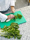 Chopping turnip green with knife