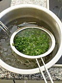 Boiled turnip green in ice water