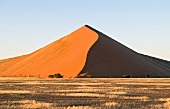 Namibia, Düne der Namib-Wüste, Sossusvlei, Steppe