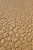 Namibia, Namib-Wüste, Sossusvlei, Salzwüste, verkrusteter Boden