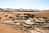 Namibia, Namib-Wüste, Sossusvlei, Dünen, vertrockneter Boden