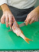 Filleting red mullet by knife on chopping board