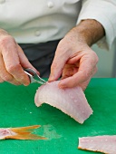 Close-up of bones being plucked from red mullet