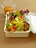Leichte Salate, Eichblattsalat mit Rote-Linsen-Dressing