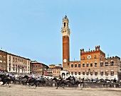 View of horse show at Piazza del Campo in Siena, Italy