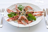 Scampi served on plate