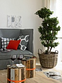 Grey sofa, table made of natural wood and ornamental tree in wicker basket in room