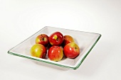 Apples in green edge bowl on white background