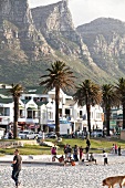 People enjoying in Camps bay with palm trees and Twelve Apostles, Cape Town, South Africa