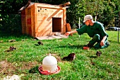 Man with disability feeding chicks in farm in Brandenburg