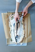 Sliced sea bass with salt crust