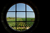 Weinreise Sardinien, Blick durchs Fe nster auf Weingut Sella e Mosca