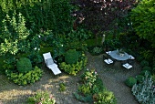 Paved seating area with variety of shrubs and perennials in city garden