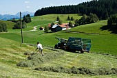 View of green field with trees and houses and man putting hay in tractor, Allgau, Germany