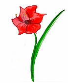 Illustration, Rote Blume 