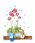 Illustration, Blumen im Topf, Topf umwickelt mit Schal, Wecker