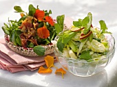 Two types of vegetable salads in bowls
