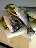 Close-up of sea bream fish filled with lime