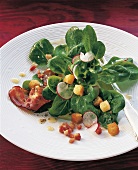 Close-up of corn salad with potato and bacon dressing on plate