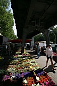 Isemarkt Wochenmarkt Ort